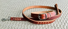 Hollis Leather Dog Leash